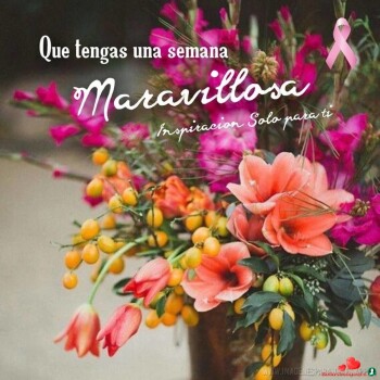 flores con frases (770)